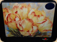 Ashdene of Australia Set: 4 Tischsets