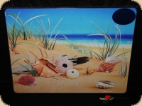 Ashdene of Australia Set: 4 Tischsets