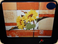 Ashdene of Australia Set: 4 Tischsets