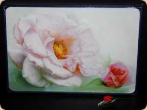 Ashdene of Australia Set: 6 Tischsets