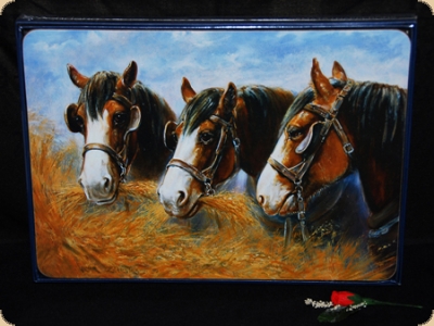 Ashdene of Australia Set: 6 Tischsets