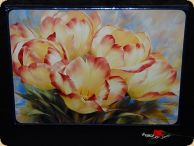 Ashdene of Australia Set: 6 Tischsets