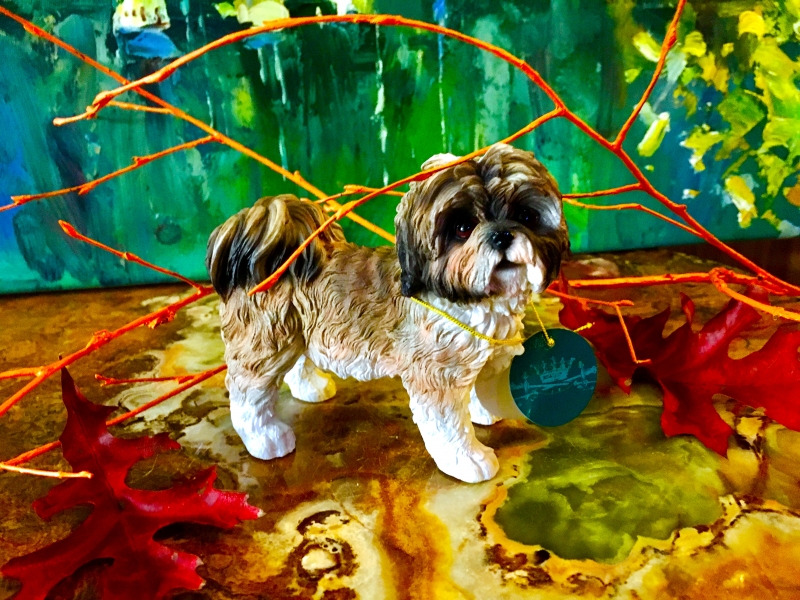 Shih Tzu