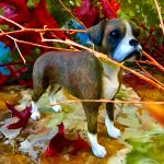 Boxer