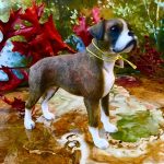 Boxer