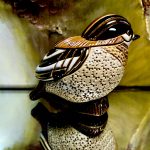De Rosa Rinconada Goldhähnchen
