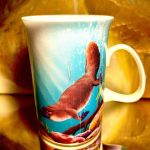 Ashdene of Australia Becher