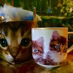 Tasse Katze + Schlüsselanhänger