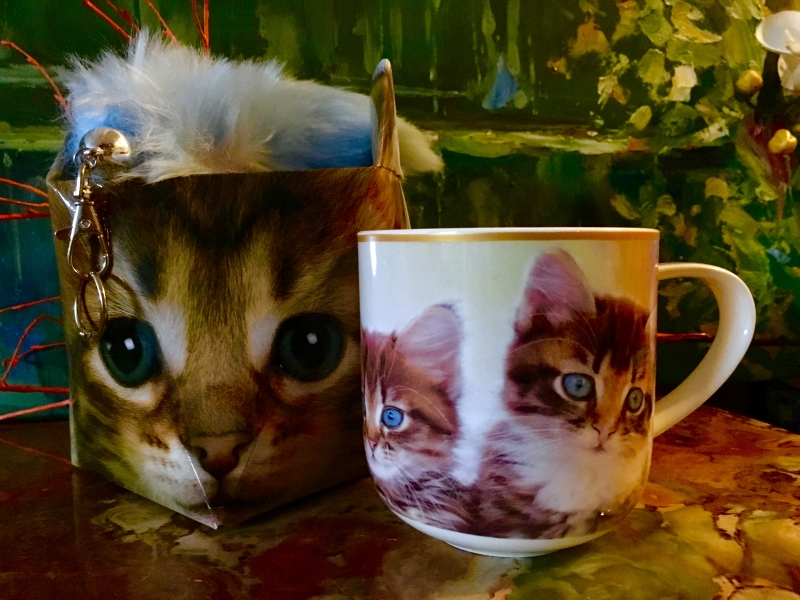Tasse Katze + Schlüsselanhänger