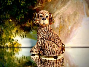 Rinconada Brown Dog