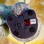 Rinconada Koala With Baby