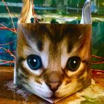 Tasse Katze + Schlüsselanhänger