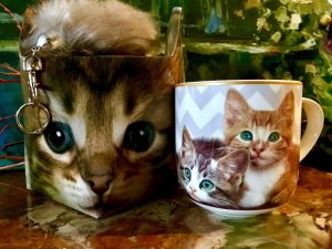 Tasse Katze + Schlüsselanhänger