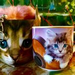 Tasse Katze + Schlüsselanhänger