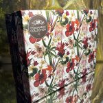 The Leonardo Collection Set: 4 Becher Hibiscus