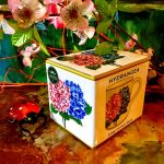 The Leonardo Collection Tasse