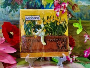 Ashdene of Australia Set: 20 Servietten