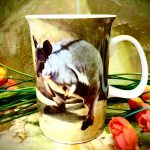 Ashdene of Australia Becher