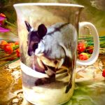 Ashdene of Australia Becher