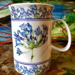 Ashdene of Australia  Becher