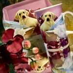 Set: Becher + Tablett Ashdene