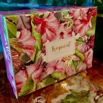 The Leonardo Collection Set: 4 Becher