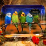 Set: Becher + Tablett Ashdene
