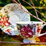 Gedeck 2 tlg. : Tasse + Untertasse