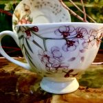 Gedeck 2 tlg. : Tasse + Untertasse