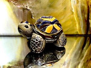 De Rosa Rinconada kleine Landschildkröte