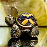 De Rosa Rinconada kleine Landschildkröte