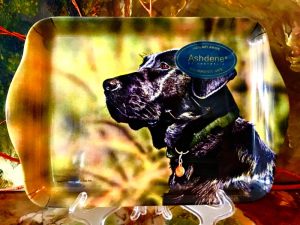 Ashdene of Australia Tablett