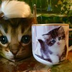 Tasse Katze + Schlüsselanhänger