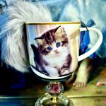 Tasse Katze + Schlüsselanhänger