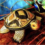De Rosa Rinconada Landschildkröte