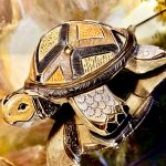 De Rosa Rinconada Landschildkröte
