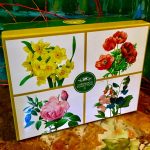 The Leonardo Collection Set: 4 Becher