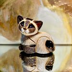 De Rosa Rinconada kleine Siamkatze