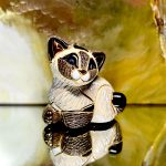 De Rosa Rinconada kleine Siamkatze