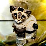 De Rosa Rinconada kleine Siamkatze