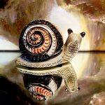 Rinconada Schnecke