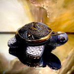 Rinconada kleine Galapagos Riesenschildkröte