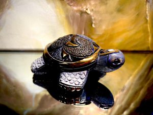 Rinconada kleine Galapagos Riesenschildkröte