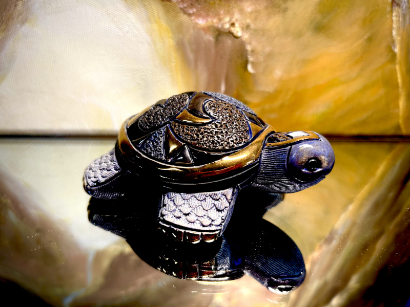 Rinconada kleine Galapagos Riesenschildkröte