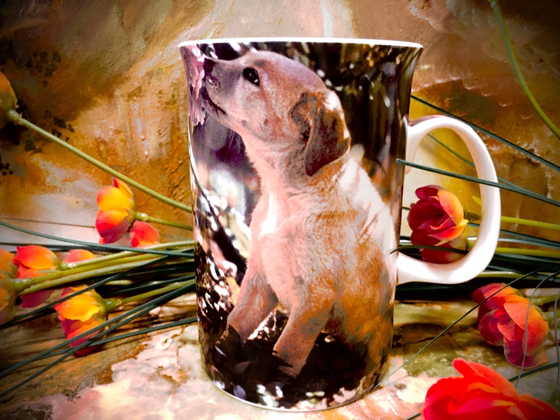Ashdene of Australia Becher