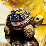 De Rosa Rinconada Landschildkröte