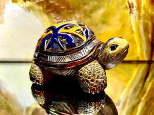 De Rosa Rinconada Landschildkröte