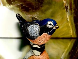Rinconada  Rotkehlchen