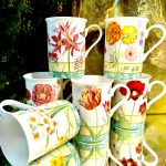 Set: 6 Becher