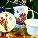 Deckeltasse Dora Papis